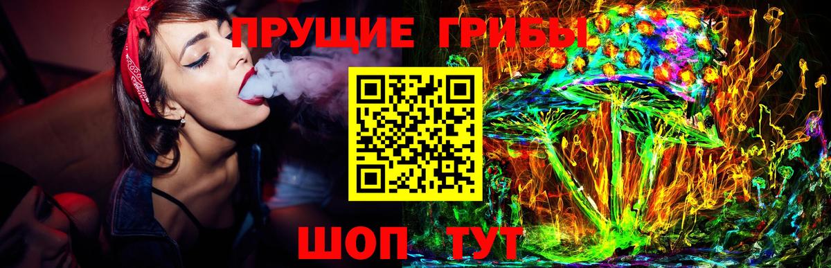 Вышний Волочёк  Галлюциногенные грибы прущие грибы  Вход с VPN  купить   Галлюциногенные грибы Psilocybine cubensis 